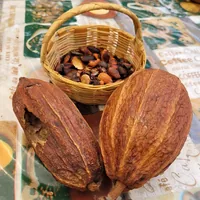 Tour En Jeep Teotihuacan